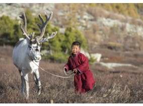 Explore el modo de vida tradicional de los nómadas mongoles