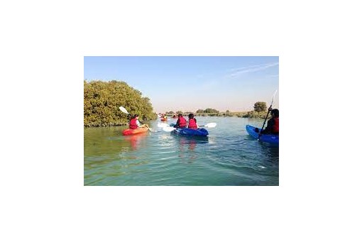 Excursión en kayak desde Doha / 6 horas / desde US$ 290