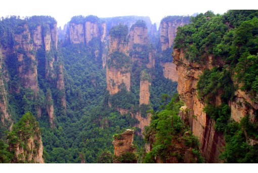 Día 4: Parque Forestal Nacional de Zhangjiajie
