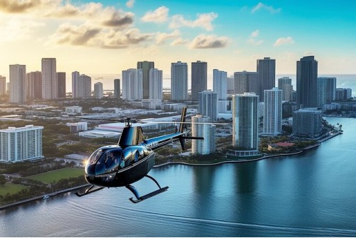 Excursión en helicóptero Miami - South Miami (opcional)